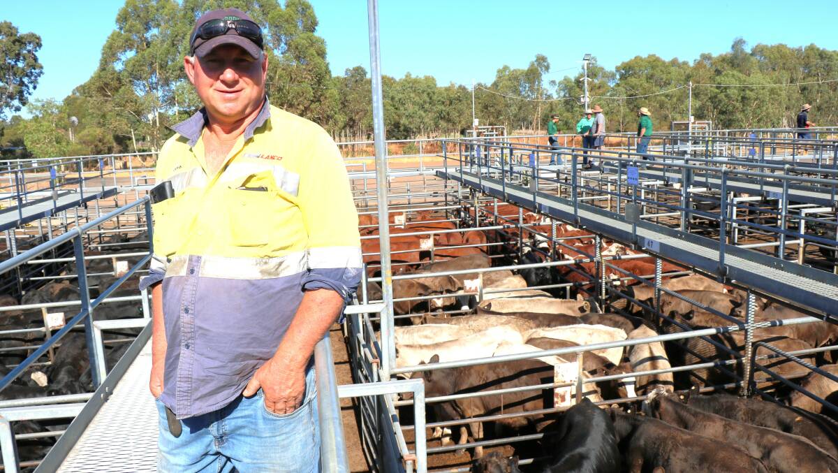 John McLeod, Allanson, is changing from breeders to fattening steers and purchased weaners at the sale through his agent.
