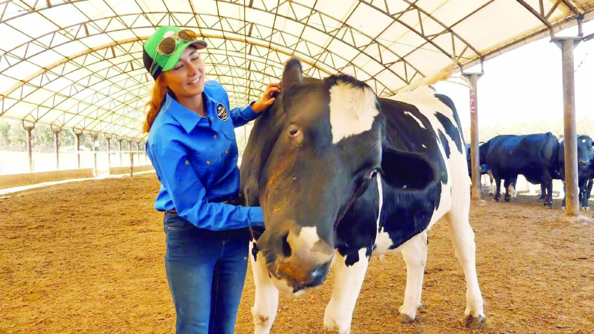 When Ms Dowdell found out she was pregnant three years ago, she was ready to reluctantly hang up her boots and kiss goodbye to a career in agriculture.