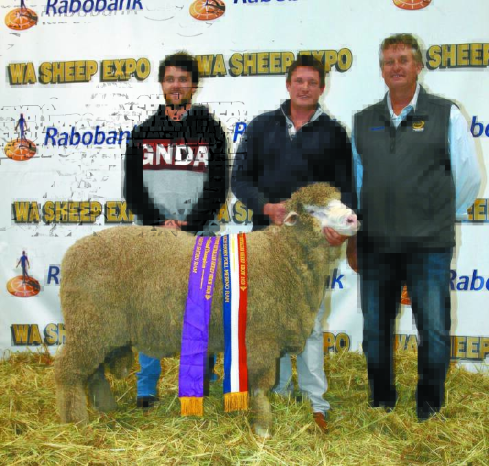 GRAND CHAMPION MARCH SHORN RAM: The grand champion March shorn ram and champion March shorn strong wool Poll Merino ram was exhibited by the Mianelup stud, Gnowangerup. With the ram were stud connections Josh Leppens (left) and Elliot Richardson and strong wool judge Les Sutherland, Arra-dale stud, Perenjori.
