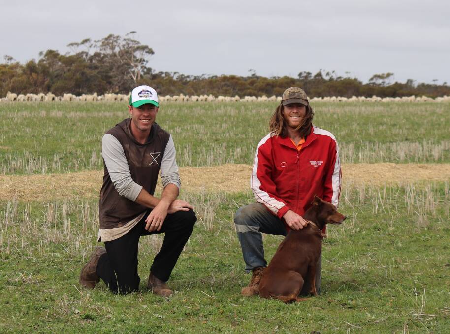 Hyden mixed farmers Mitch (left) and Lachy Mouritz are bringing a burst of energy to the management of their family's Merino enterprise.