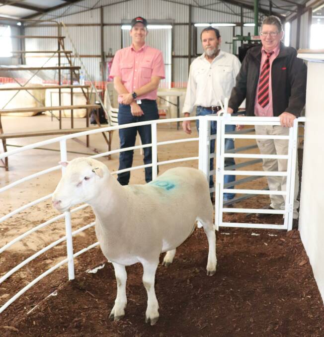 Topping the overall sale at $5800 was this Mount Ronan White Suffolk ram, with the ram is Elders Northam branch manager, Chris Wood (left), Mount Ronan stud principal Guy Bowen and Elders prime lamb specialist Michael O'Neill. The ram was purchased by G & Y Roberts, Dandaragan.