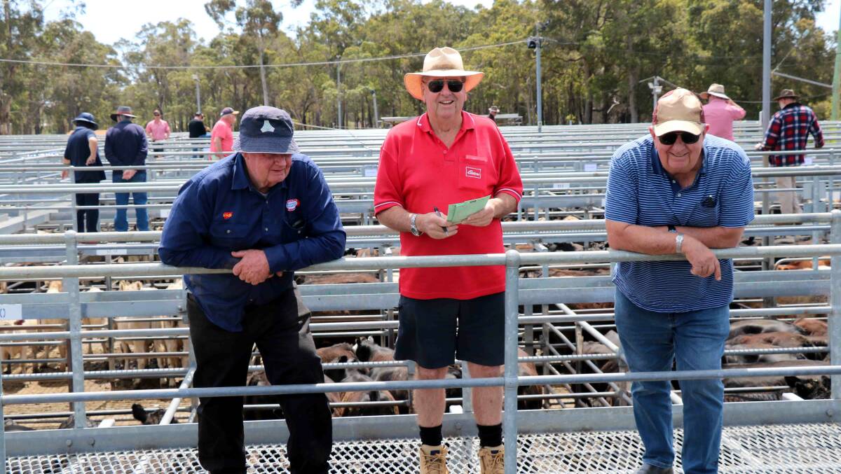 Robin King (left), Busselton, Terry Tarbotton, Elders Nannup and Richard Farris, Busselton, caught before the sale.