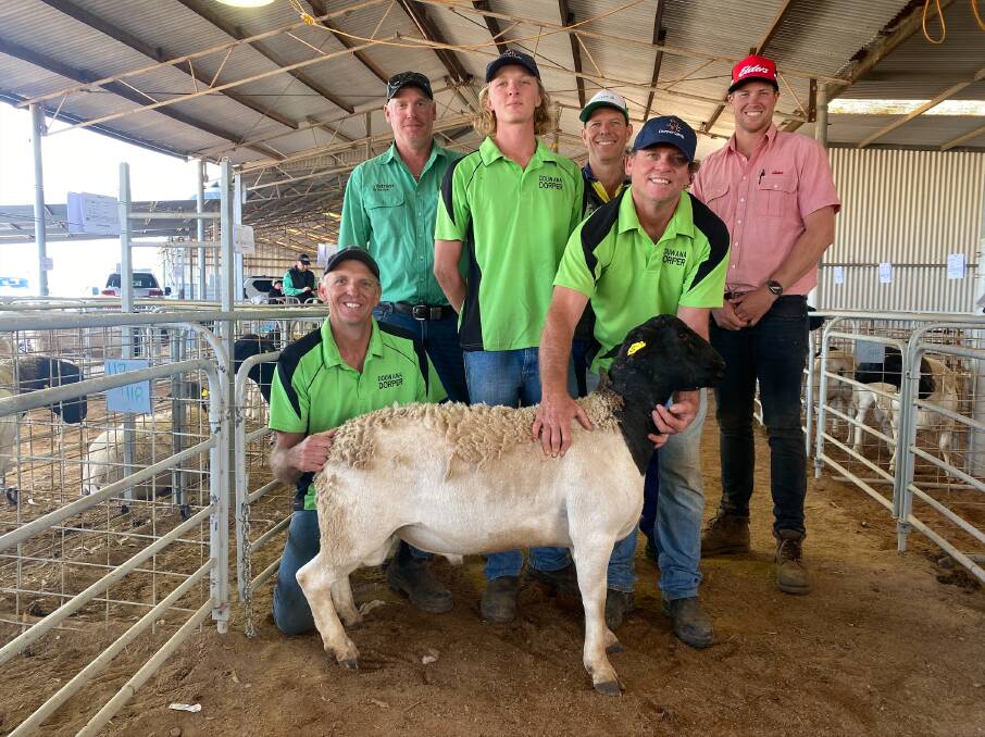 The Douwana Dorper sale held on Monday at the Nanson Showgrounds saw prices hit a high of $4100 for this ram when it sold to the Wasley family, JC Wasley, Mingenew. With the ram were Douwana co-principal Kim Batten (left), Nutrien Livestock, Geraldton representative Murray Paterson, Douwanas Denva Batten, buyer Jeremy Wasley, Douwana co-principal Jason Batten and Elders, Geraldton representative Thomas Page.