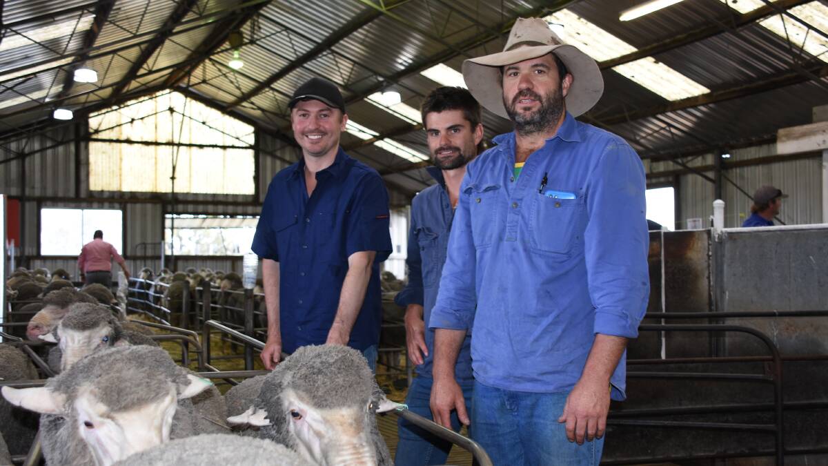 Westerdale's Craig Jackson (left), with the sale's volume buyers Peter Human and Craig Power, Power Grazing, Busselton. Mr Power purchased 26 rams in the sale at an average of $1754.