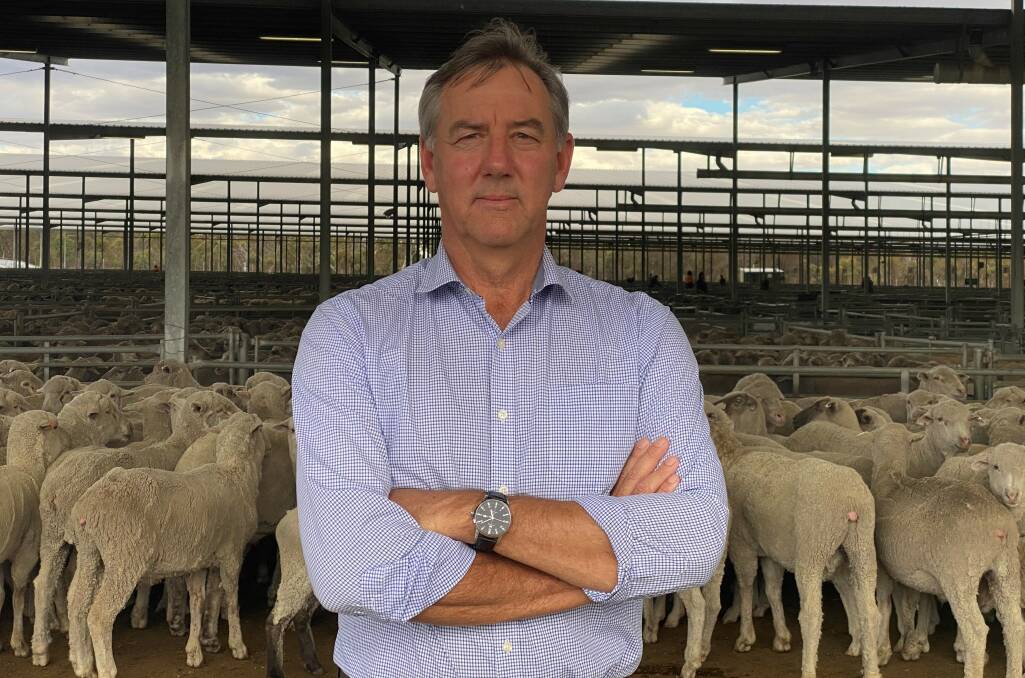 The Nationals WA MP for Roe, Peter Rundle, at the Katanning saleyards.