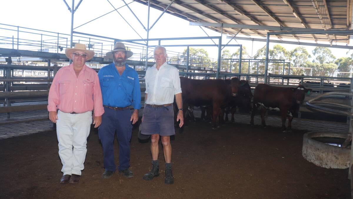 Securing the two top-priced $1600 pens of commercial heifers was Bruce Moore (right), LB Moore (left), Mt Barker. Elders, Albany livestock manager Wayne Mitchell and Narralda stud principal Graeme Burrow are with top-priced buyer Bruce Moore and his heifers.