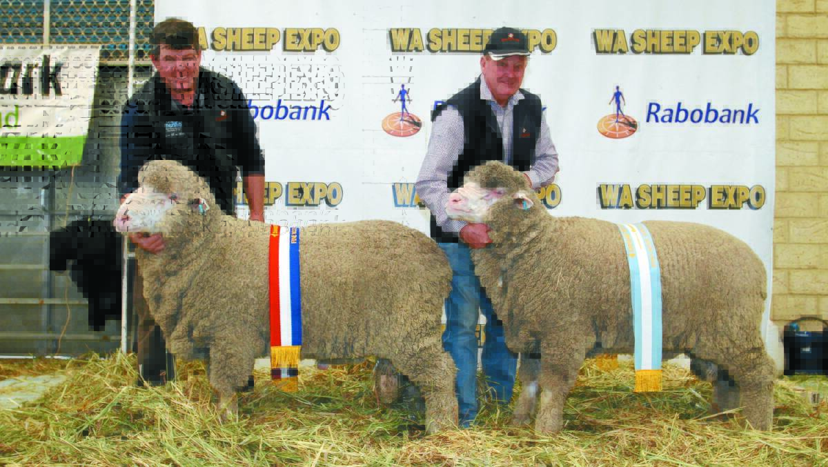 CHAMPION & RESERVE CHAMPION MARCH SHORN FINE WOOL POLL MERINO RAMS: Rangeview stud principals Jeremy (left) and John King, Darkan, with the stud's champion and reserve champion March shorn fine wool Poll Merino rams.