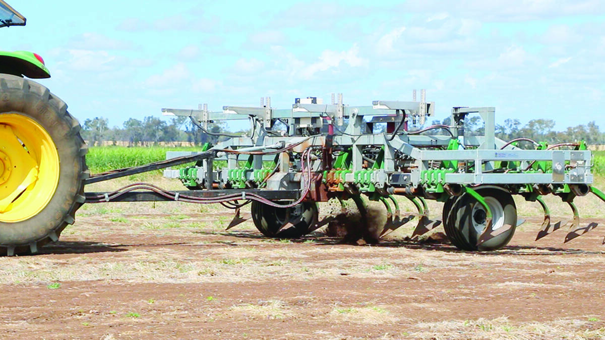 Being well-suited to the control of larger weeds, this machine provides a fantastic non-chemical option to clean up survivors in a double-knock operation within a conservation cropping system. Photo by AHRI.
