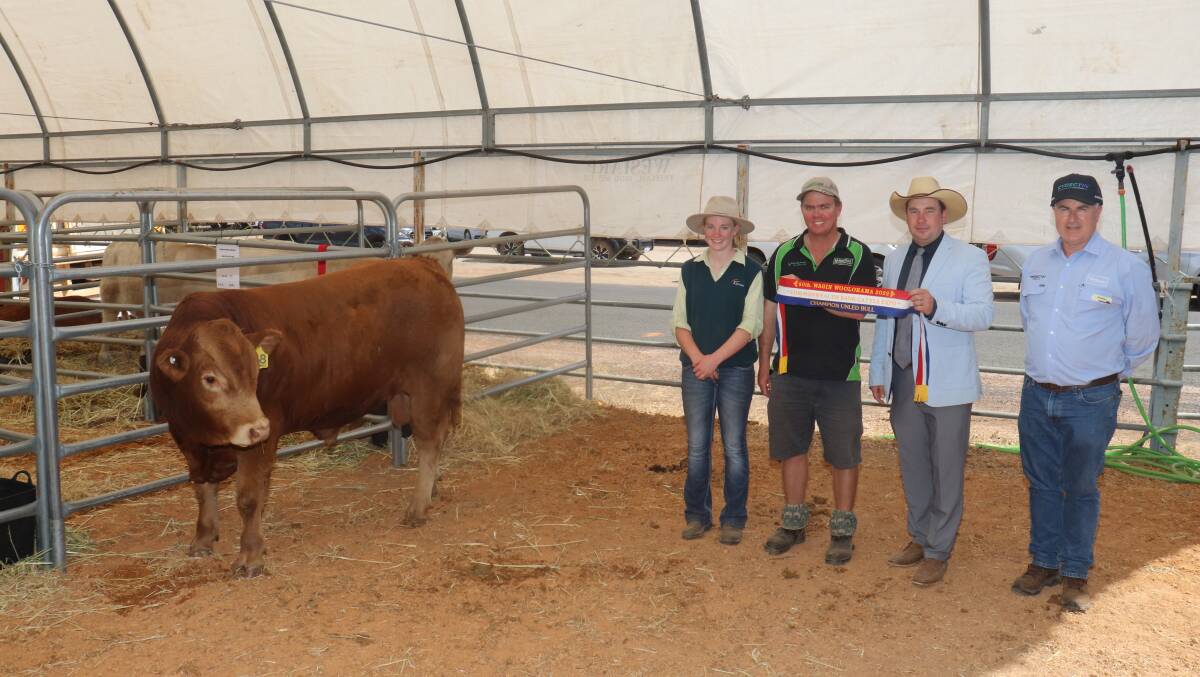 With the champion unled bull Morrisvale Thor T8 exhibited by the Morrisvale Limousin stud, Narrikup, were Libby (left) and James Morris, Morrisvale Limousin stud, Narrikup, judge Rob Onley, Candy Mountain Cattle, Noorat, Victoria and sponsor Tony Murdoch, Virbac Australia Animal Health.