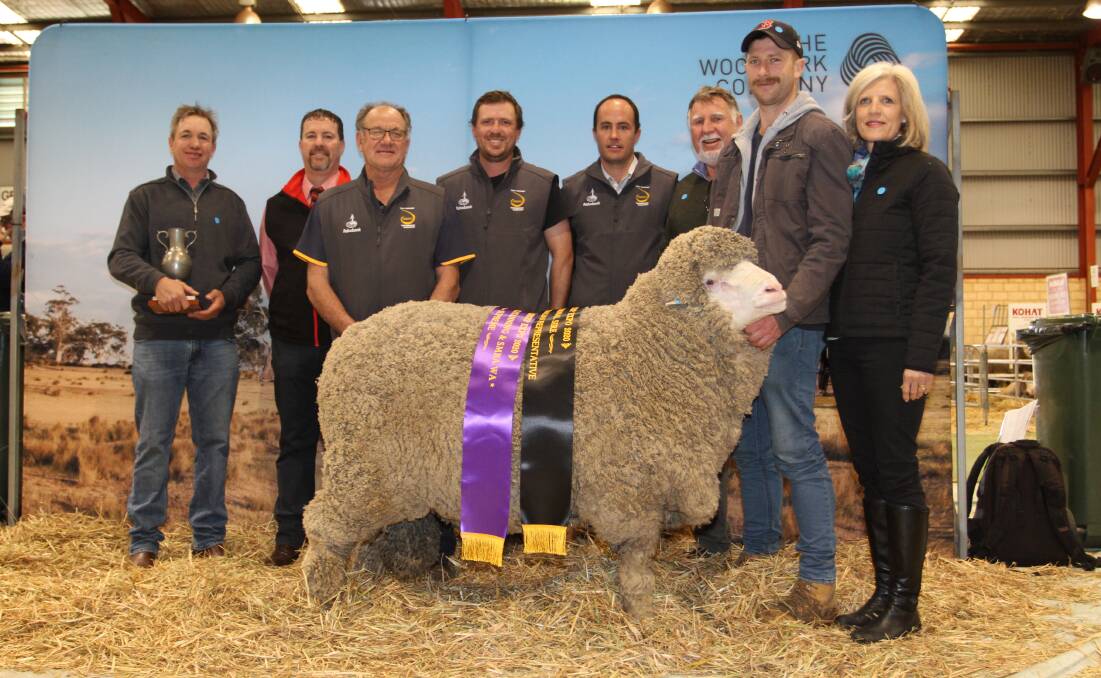 SUPREME EXHIBIT: The 2020 WA Sheep Expo & Ram Sale supreme Merino and WA Merino Ram of the Year was awarded to a Poll Merino ram exhibited by the Mullan family's Eastville Park stud, Wickepin. With the grand champion August shorn ram and champion August shorn medium wool Poll Merino ram were Grantly Mullan (left), Eastville Park stud, Eastville Park stud classer Nathan King, Elders stud stock, judges Quentin Davies, Cardiff stud, Yorkrakine, Scott Button, Manunda stud, Tammin and Darren Chapman, Beaufort Vale stud, Boyup Brook and Rob, Todd and Lee-Ann Mullan, Eastville Park stud.