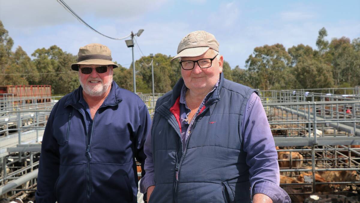 Bruce Marsh (left), discussed the cattle market with John Barber, Manjimup, before the sound Elders Boyanup store sale last week.