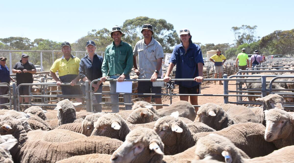  At Corrigin, the wether lamb offering sold to a high of $50, looking over the top-priced line which contained 357 August shorn, Claypans blood, April/May-drop wethers were vendors Bruce (left) and Heather Talbolt, NB & DL Talbolt, Corrigin, Nutrien Livestock, Wickepin/Kulin and Corrigin agent Ty Miller and buyers Doug and James Ellis, Kulin.