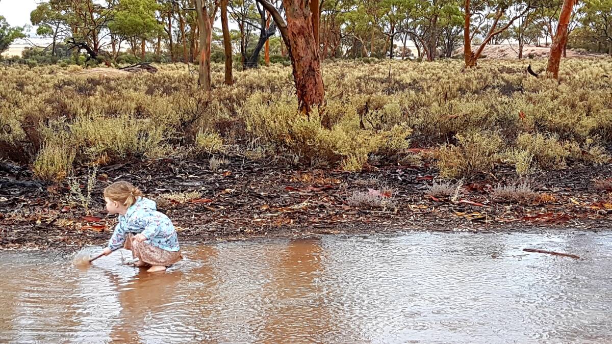  Ruby Uden, 2, loved playing in the puddles on her grandfather's farm at Karloning. In total 65.5mm of rain was received from the two weather events. Photo by Julie Uden.