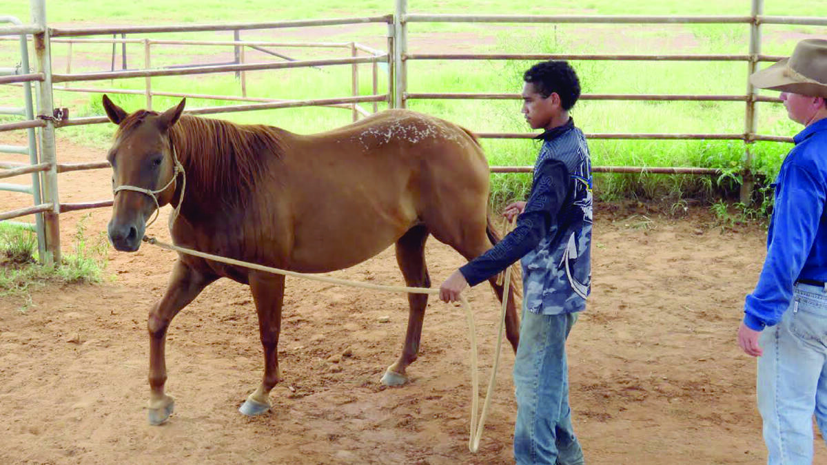 Aboriginal Pastoral Academy trainee Zinidine Johnson (left) learns how to handle a horse under the supervision of Jacob Dunn at Myroodah station.