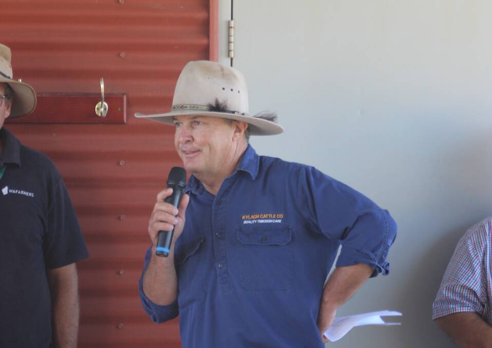 Kylagh Cattle Backgrounding and Feedlot manager Ivan Rogers discussing the yards and the induction system for new cattle.