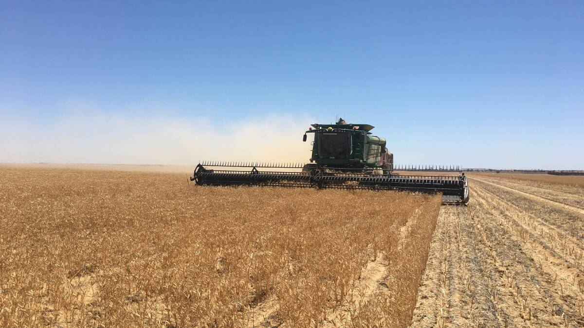  Third year harvesting at the ripper gauge trial on the McCreery's property at Kalannie.