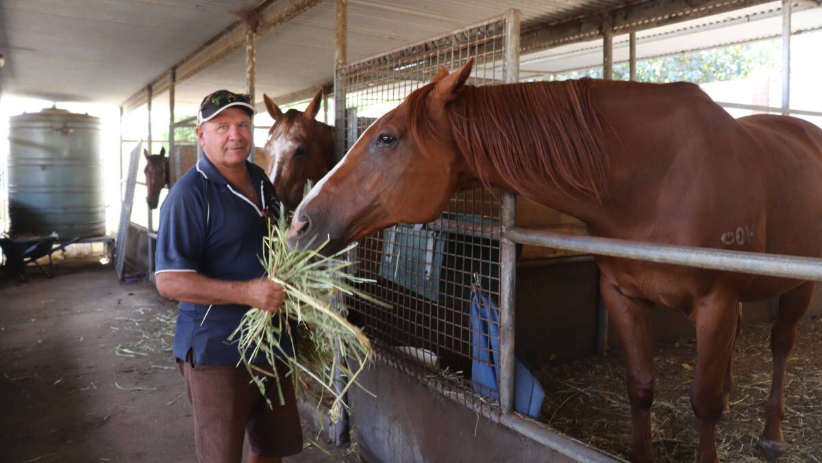Apart from co-ordinating feed and stabling around Perth for more than 100 horses from the bushfire area, former racehorse trainer Ian Glading also took in horses at his Ascot racing stables. These three and another four from the bushfire area were still with him at the end of last week.