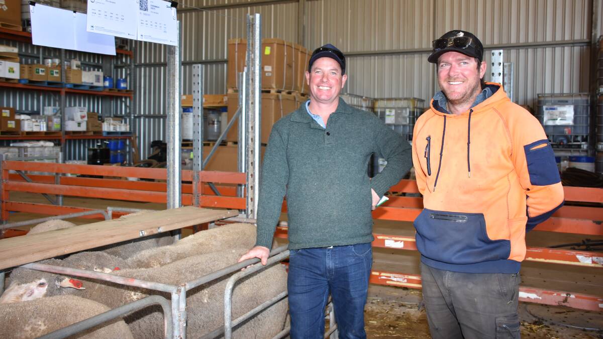 Inspecting the line-up of rams before the sale were Wes Leo (left), Dunn Rock and Rhys De Landgrafft, Dunn Rock. In the sale Mr De Landgrafft purchased 10 rams to a top of $2400 and an average of $1960.