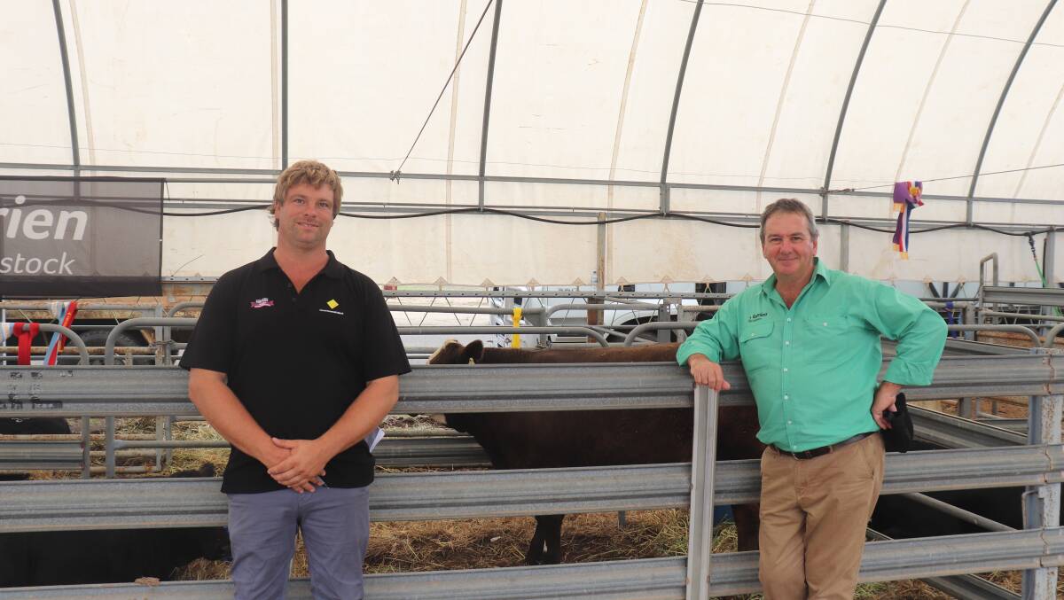 Cattle steward Ed Porter (left) and Nutrien Livestock, commercial and stud sheep manager Tom Bowen with the $2000 equal third top-priced yearling sold by the Bullock Hills stud, Katanning.