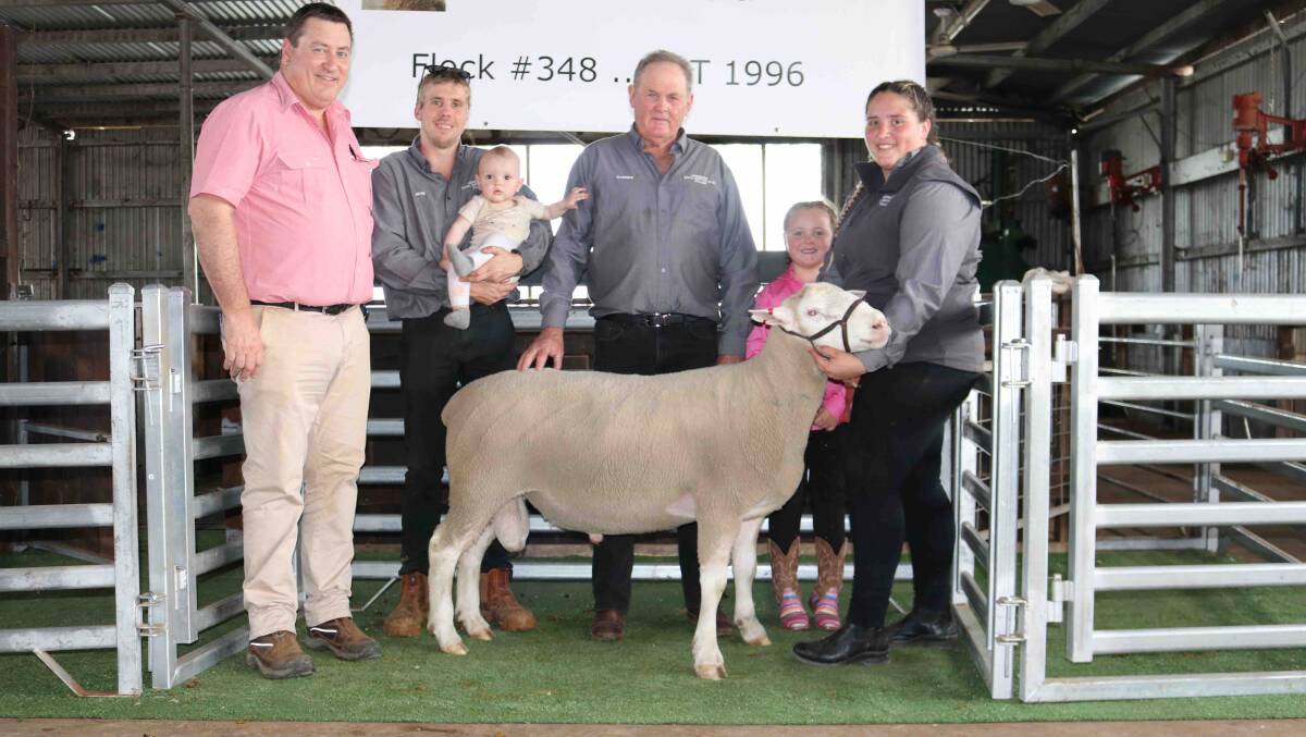 Elders stud stock manager Tim Spicer (left), with Hedingham White Suffolk representatives Jayk Jones and young Archie Jones, 8 months, Warren Thompson, Lillie Jones, 5, and Emma Bentley with the ram bought by the Sutherland family, Sandown White Suffolk stud, Perenjori, for the $4100 top price at last weeks Hedingham White Suffolk on-property ram sale at Wickepin.