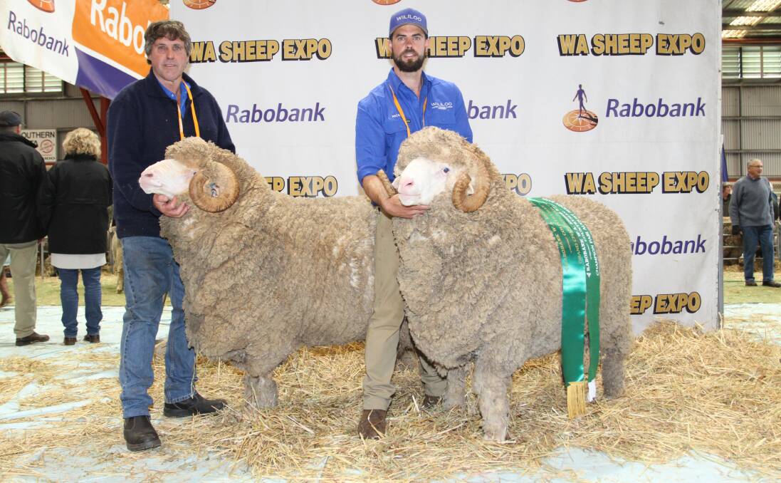 The Wililoo stud, Woodanilling, exhibited the grand champion pair of rams and holding the champion pair of August shorn rams were stud principals Clinton (left) and Rick Wise.