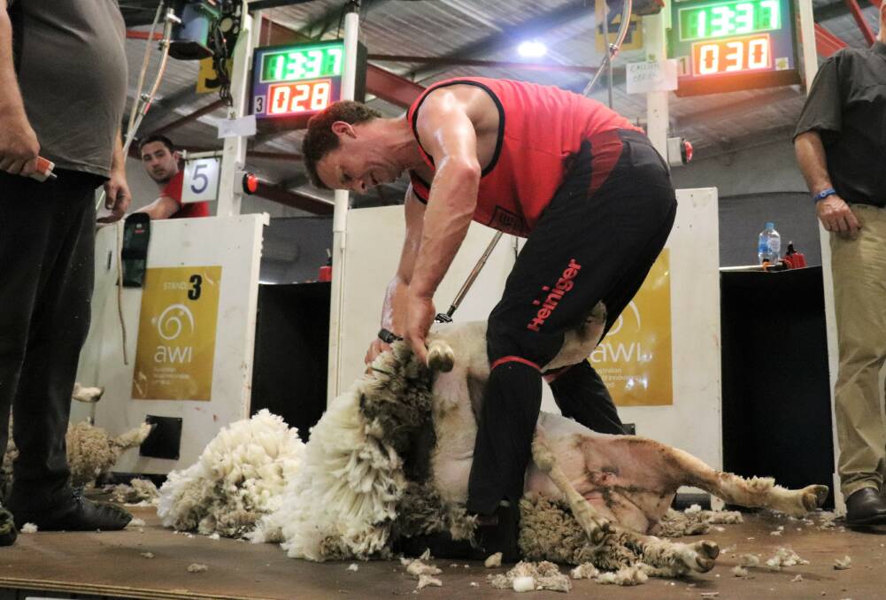 Collie gun shearer Callum O'Brien was quickest in the open final but accrued points from the judges for the amount of wool he left behind.