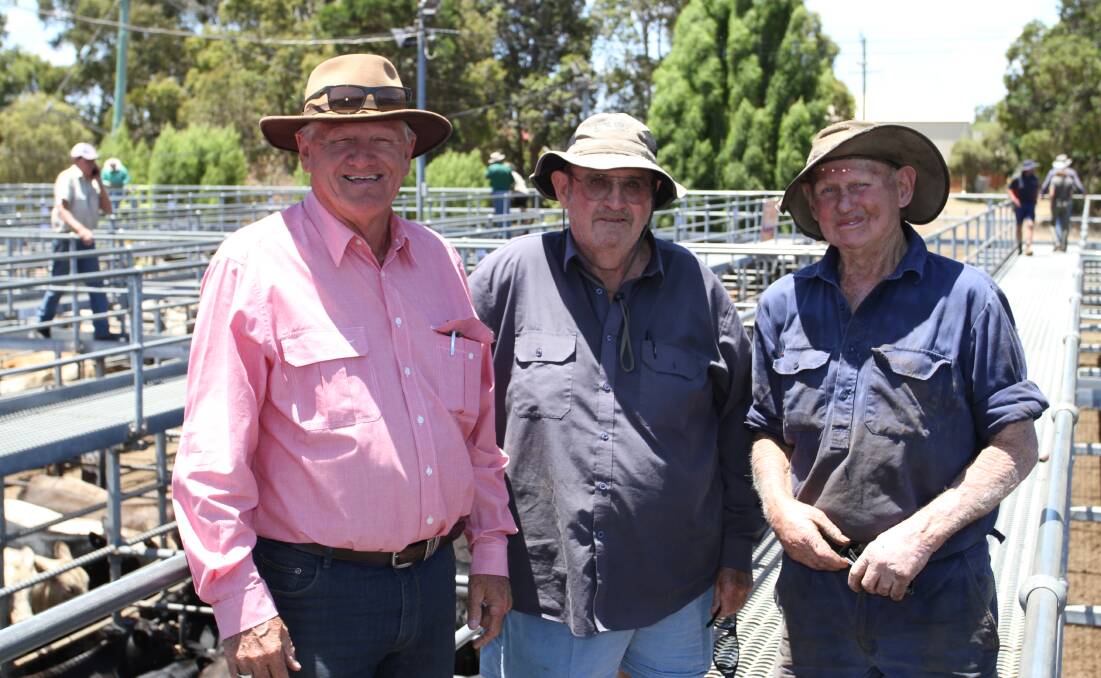  Elders Donnybrook representative Deane Allen (left) caught up with Howard Girffiths, Ferguson and Henry Clifton, Boyanup, before the start of the sale.