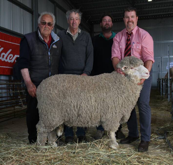 East Strathglen stud co-principal Rowland Sprigg (left), Tambellup, buyers Gerald and Murray Saunders, A Saunders & Co, Highbury and Elders stud stock auctioneer Nathan King with the $8500 top-priced Poll Merino ram at the East Strathglen sale.