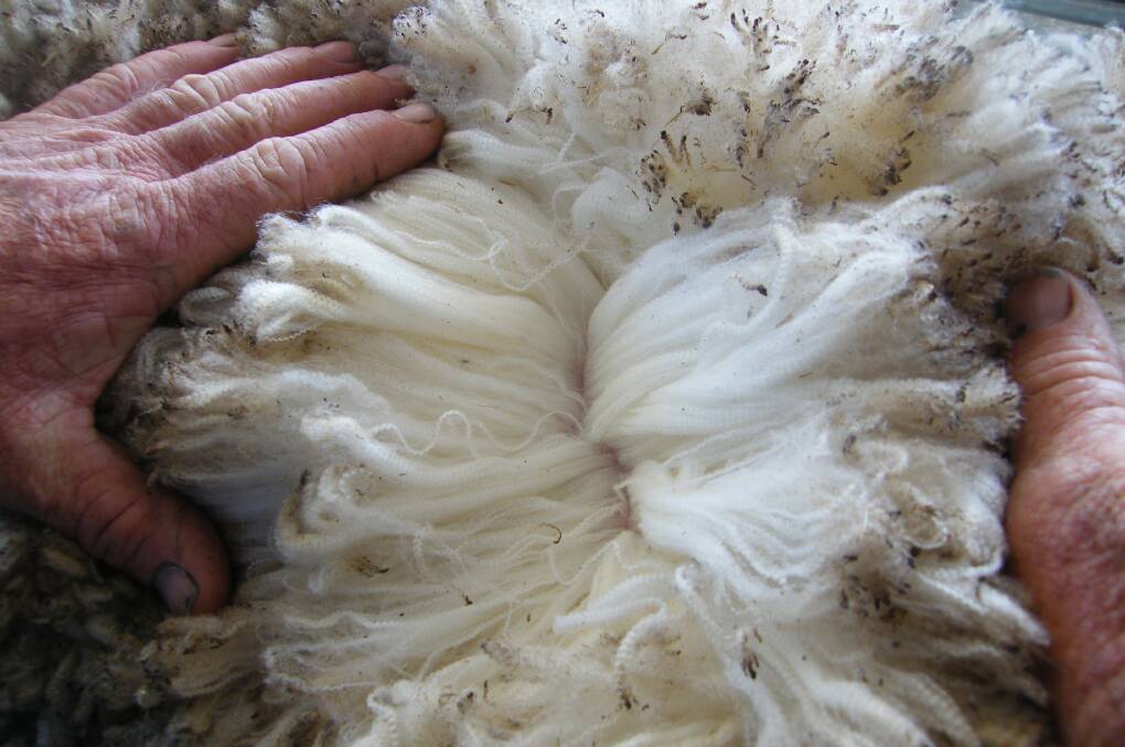 Wool industry may never recoup latest losses