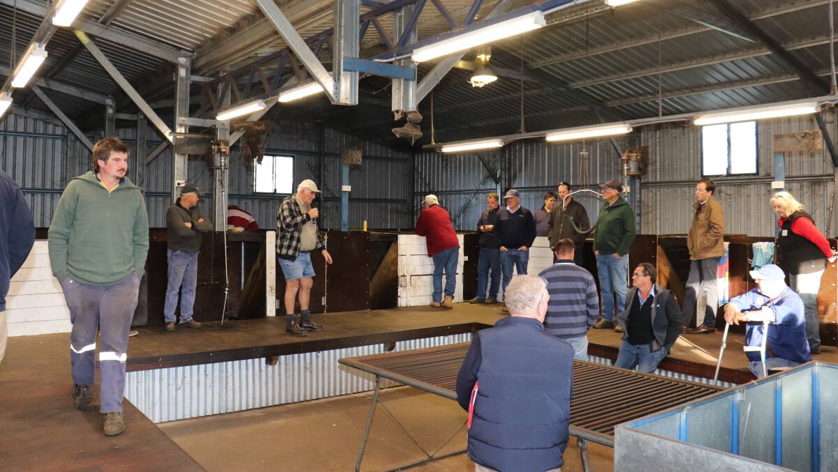 A range of different shed types and layouts were on show, with producers given the chance to explore each shed and ask questions of the shed owners about what they found works well and not so well when the shed is in operation.