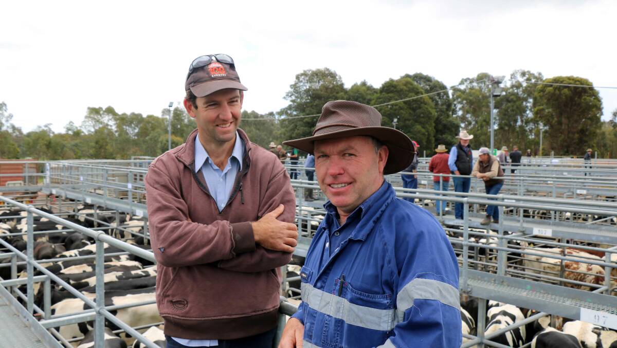 Paul Fry (left), Crendon Irrigation, Donnybrook, caught up with Chris Wringe, Kirup, before the red hot cattle sale at Boyanup.