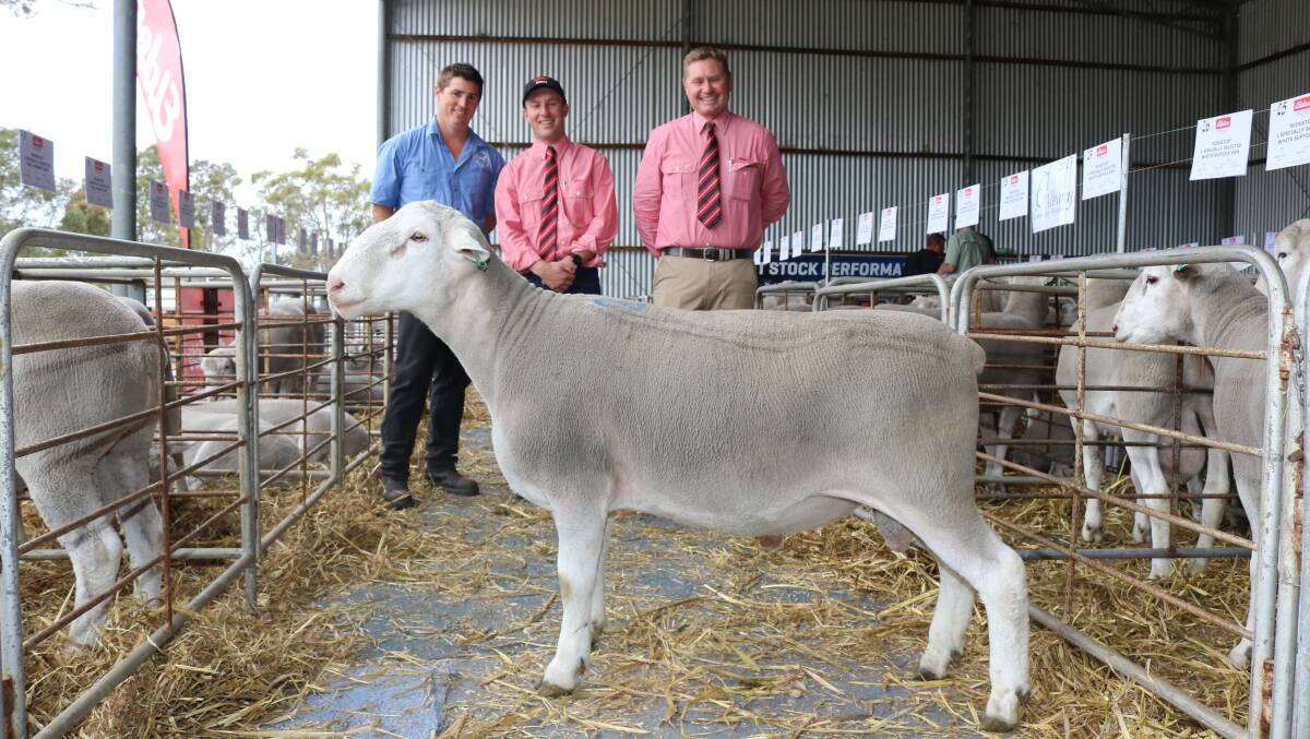 With the $1600 top-priced ram sold from the White Suffolk offering at the annual on-property Ridgetop ram sale were stud principal Denam Carter (left), Narrikup, Elders auctioneer James Culleton and Elders Albany representative David Lindberg.