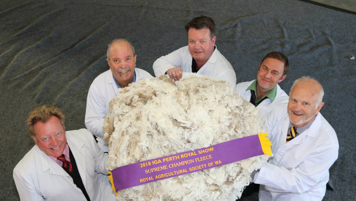 Landmark South West wool area manager Matthew Chambers (second right) is one of three finalists for the national 2019 Wool Broker Award. He is pictured with the other IGA Perth Royal Show wool judges Tim Burgess (left), Elders, Graeme Luff, Primaries of WA, Cameron Henry, Landmark and chief judge Tim Chapman, Primaries of WA holding the 2018 Supreme champion fleece.