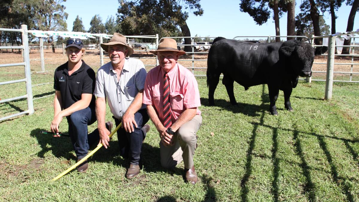 Connor DeCampo (left) and Rob Introvigne, Bonnydale Black Simmentals and SimAngus, Bridgetown and Deane Allen, Elders, Bridgetown/Donnybrook, with the $21,000 second top-priced Black Simmental bull Bonnydale Progressive U77 (by LCDR Progressive 106G) purchased by the Patterson family, Bullock Hills stud, Woodanilling.