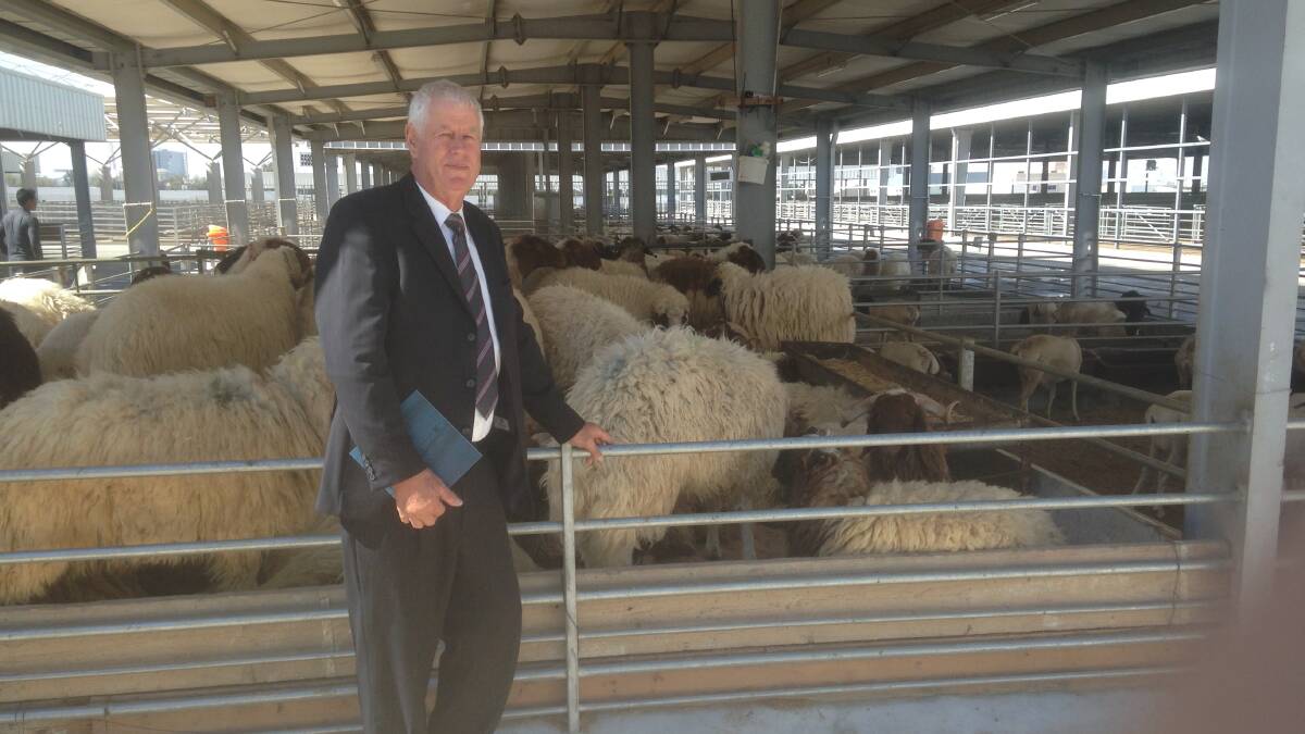 PGA president Tony Seabrook visited a feedlot in Kuwait a few years ago to understand more about the live sheep trade. Last week he was in Canberra to advocate for the mainly WA sheep live export industry.