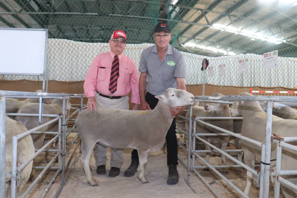 With the top price $1550 Poll Dorset ram were Elders Albany representative Wayne Mitchell (left) and Rainbow Park stud principal Kim Roberts, the ram was bought by Yorklands Farms, Wellstead.