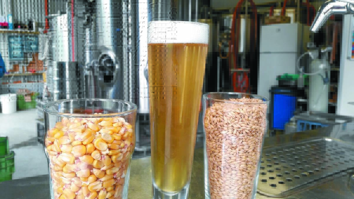 Here's cheers to corn beers, Farm Weekly