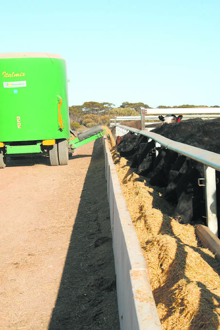Good management reduces cattle stress
