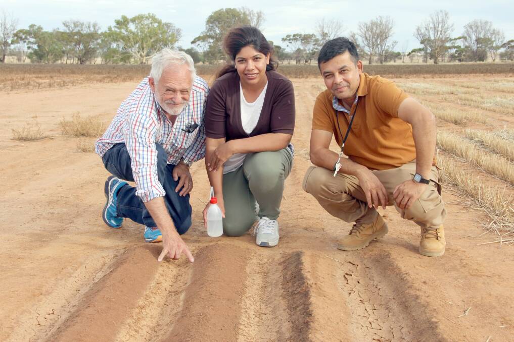 DPIRD principal soil scientist Ed Barrett-Lennard, with research scientist Rushna Munir and technical officer Zia Hoque at the trial site in Merredin.