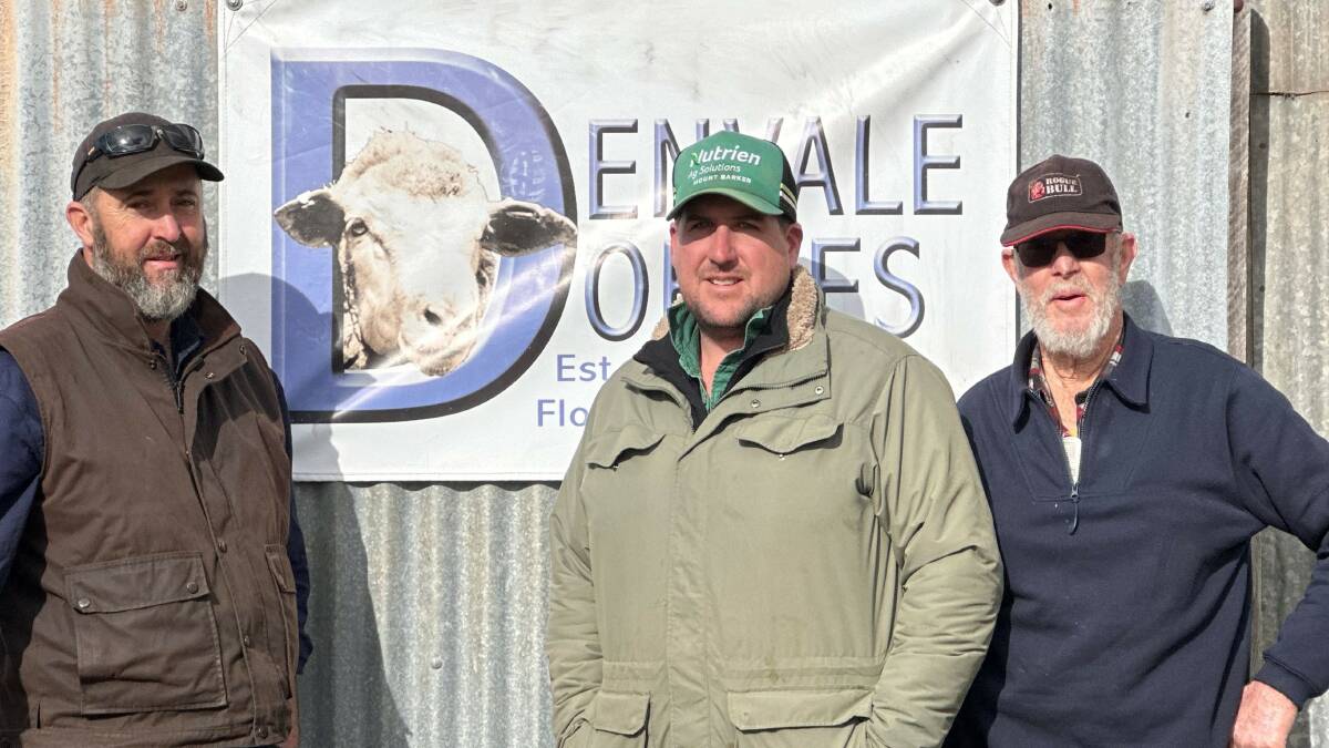 Denvale Dohne principals Greg Sounness (left) and Robert Sounness (right), Denbarker, with Nutrien Livestock Mt Barker livestock agent, Jarrad Hubbard. The Sounness family was WAMMCOs May Producer of the Month.