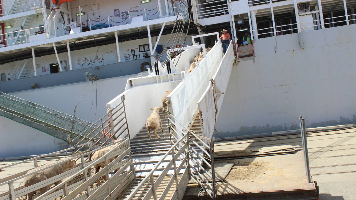 Nutrien sees long future in live export