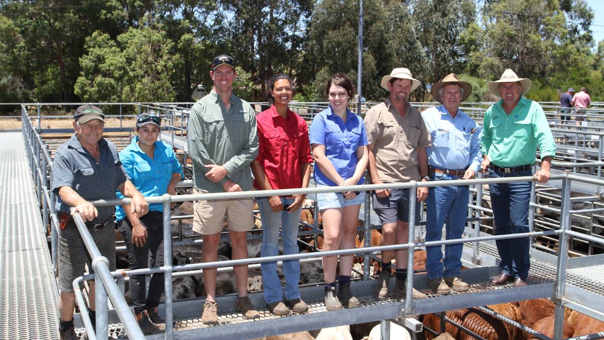 A large number of weaners from the Wheatbelt region were offered at the weekly WALSA weaner sale. Some of these vendors included Ralph (left) and Ashley Maiolo, RA & A Maiolo & Son, Narrogin, Jay Anglesey, Komala Ravendran, Jess Spurr and Terry James, Terrica Valley, Karlgarin, Peter Stacey, Maroondah Farms, Yealering and their livestock agent Richard Pollock, Nutrien Livestock, Waroona.