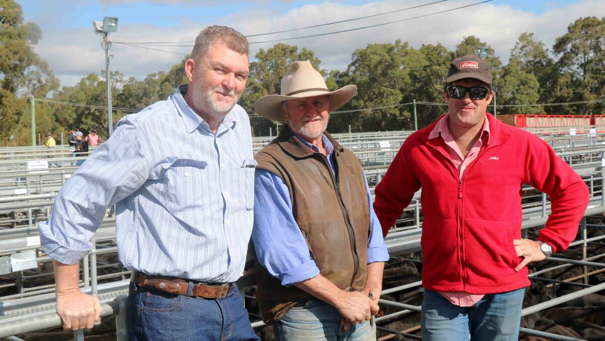 Vaughan Byrd (left) and Richard Gardiner, Alcoa Farmlands, Waroona, attended the sale to see the Alcoa Farmlands cattle sold and discussed the yarding with new Elders Brunswick representative Craig Martin.