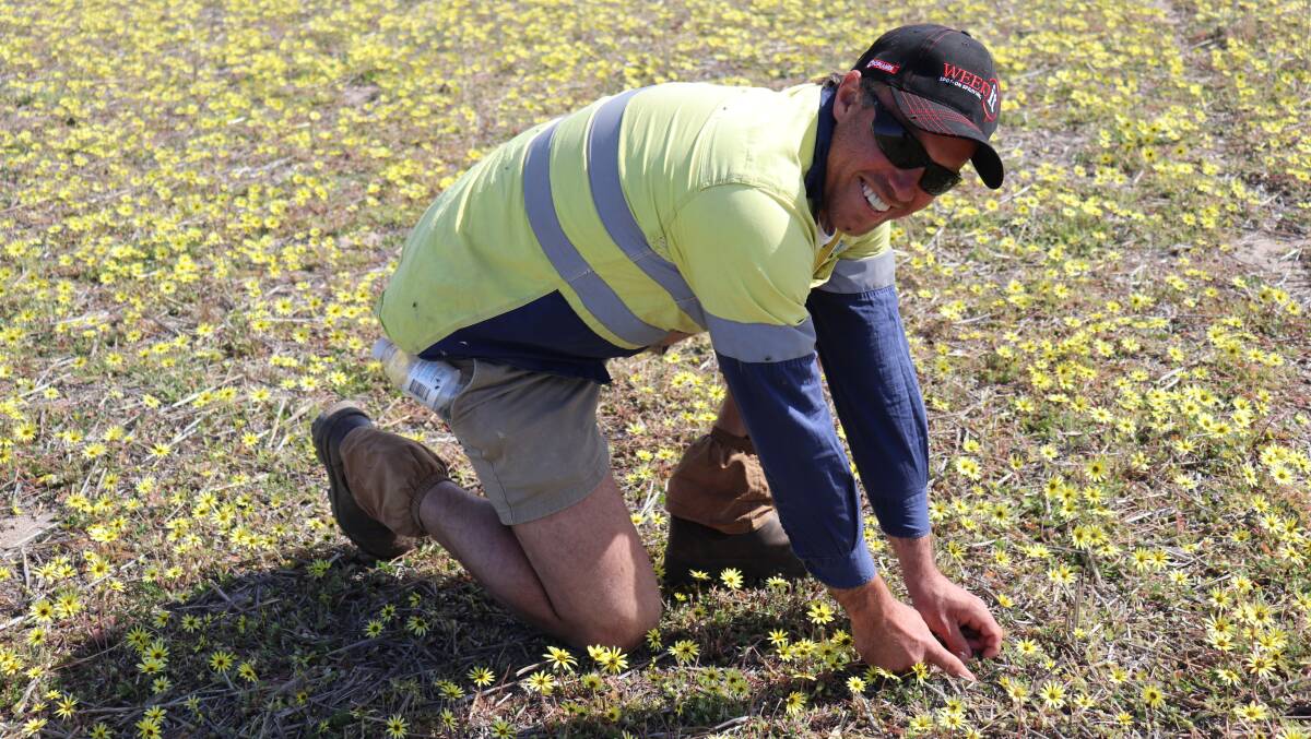 Fourth-generation mixed cropping farmer Michael Mortimore runs his 7000 hectare property with his father, Ian. Michael attended the CFIG field walk improve his knowledge by listening to any new developments coming from crop trials underway in the central Wheatbelt.