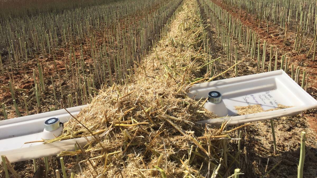 A drop tray used in a harvested area of a paddock. Photograph by Peter Newman, Planfarm.