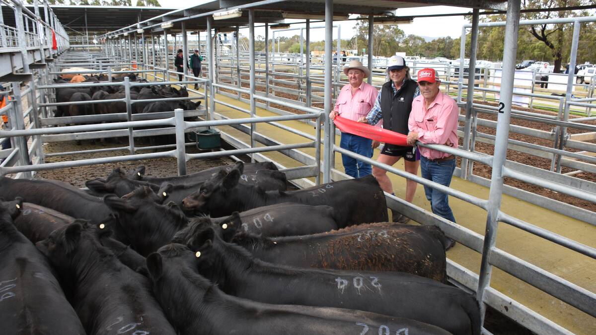 With the champion pen of steers from the Matthews family, Kangarabbi Farms, Narrikup, were Elders, Albany livestock manager and sale auctioneer Wayne Mitchell (left), Wayne Matthews and Elders, Mt Barker representative Dean Wallinger. The pen of 11 Black Gelbvieh-Angus steers averaged 414kg and sold at 400c/kg to return $1656 a head.