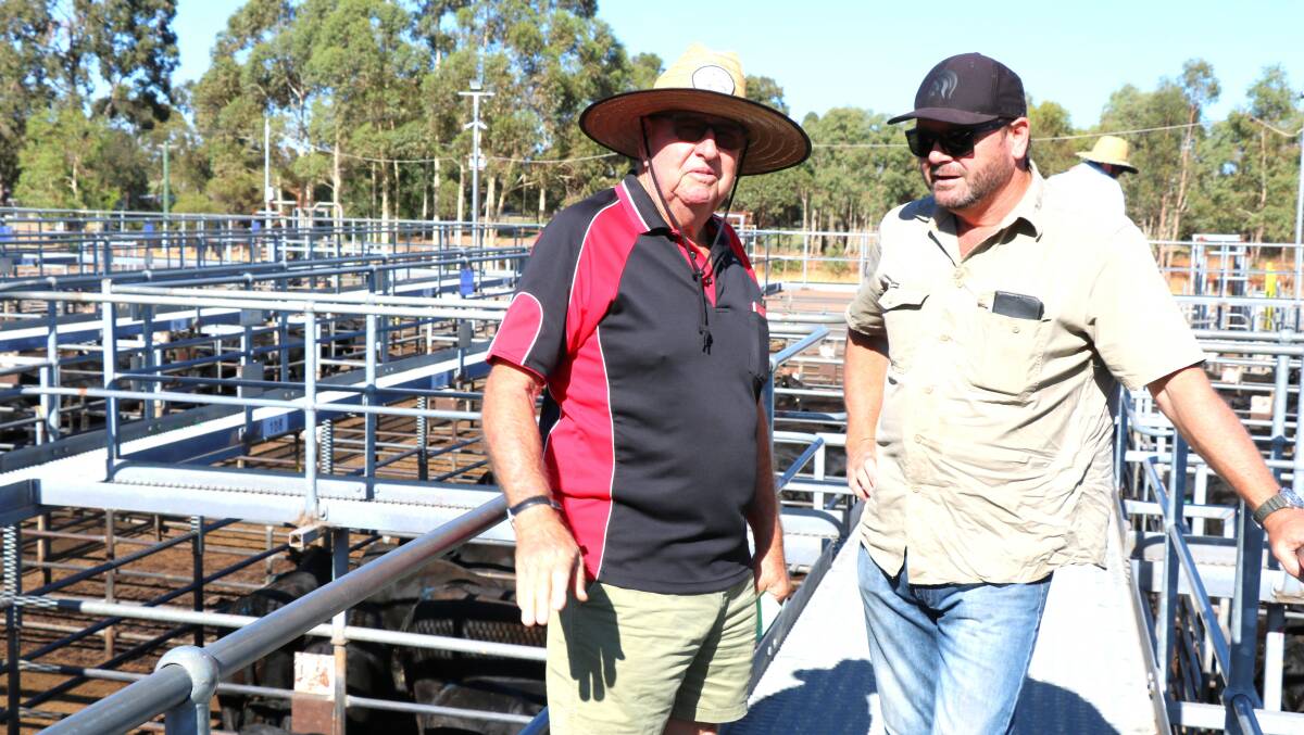 Terry Tarbotton (left), Elders, Nannup, caught up with Paul Reilly, Elgin, before the combined agents weaner sale last week at Boyanup.