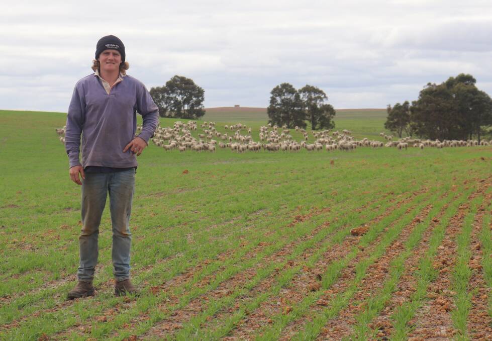 Todd Kenny, Badgingarra, is part of a family operation running 5500 Merino breeding ewes across 4400 hectares.