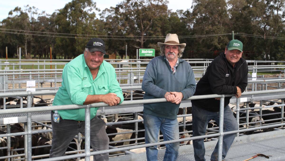 Nutrien Livestock South West livestock manager Peter Storch (left), Lance Ockwell, Pemberton and Nutrien Livestock Manjimup representative Brett Chatley discussed the yarding before the sale.
