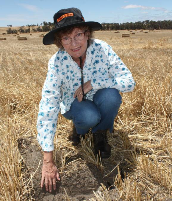 Former CSIRO scientist and microbiologist Margaret Roper says her research shows that no-tillage is a viable alternative to the current soil amelioration cultivation practices for managing water repellent soils and protecting soil microbial communities that support plant growth.